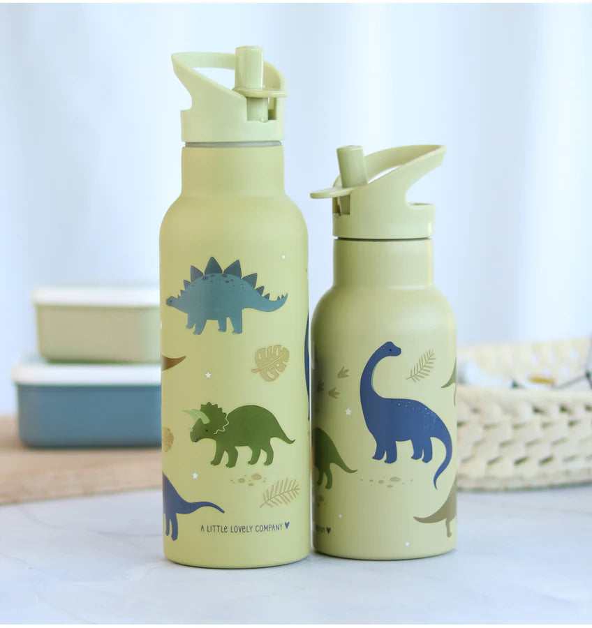 RVS Drinkfle Dinosaurus XL – 500 ml