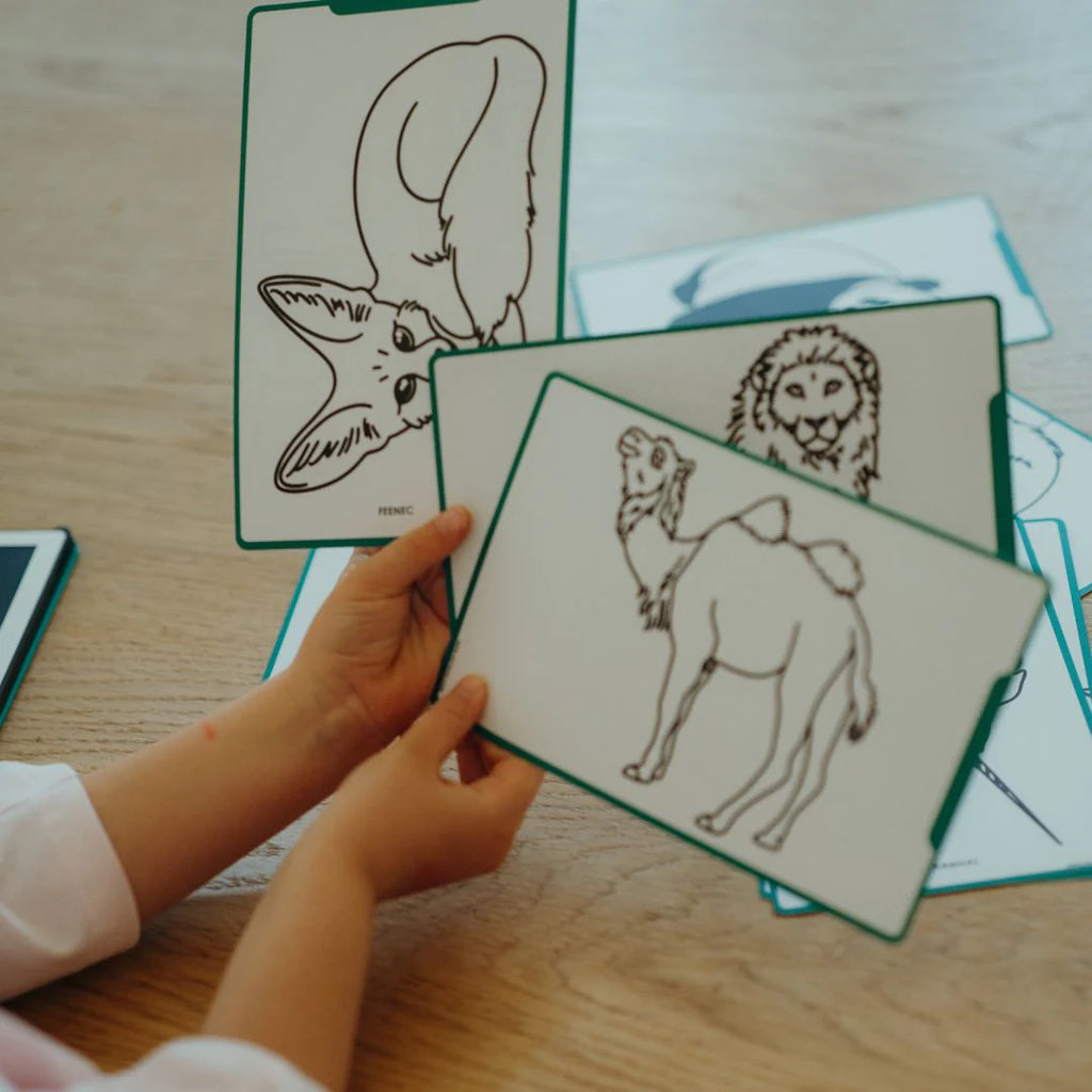 Kidywolf Kidydraw Mini – Tekenbord Dieren